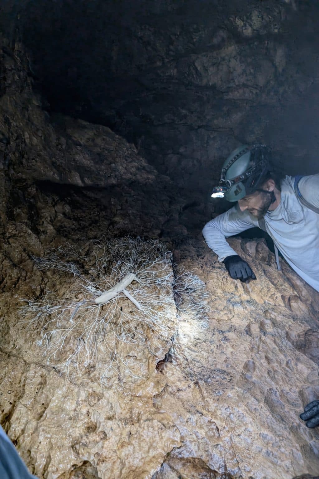 Caving in Georgia — photo 1