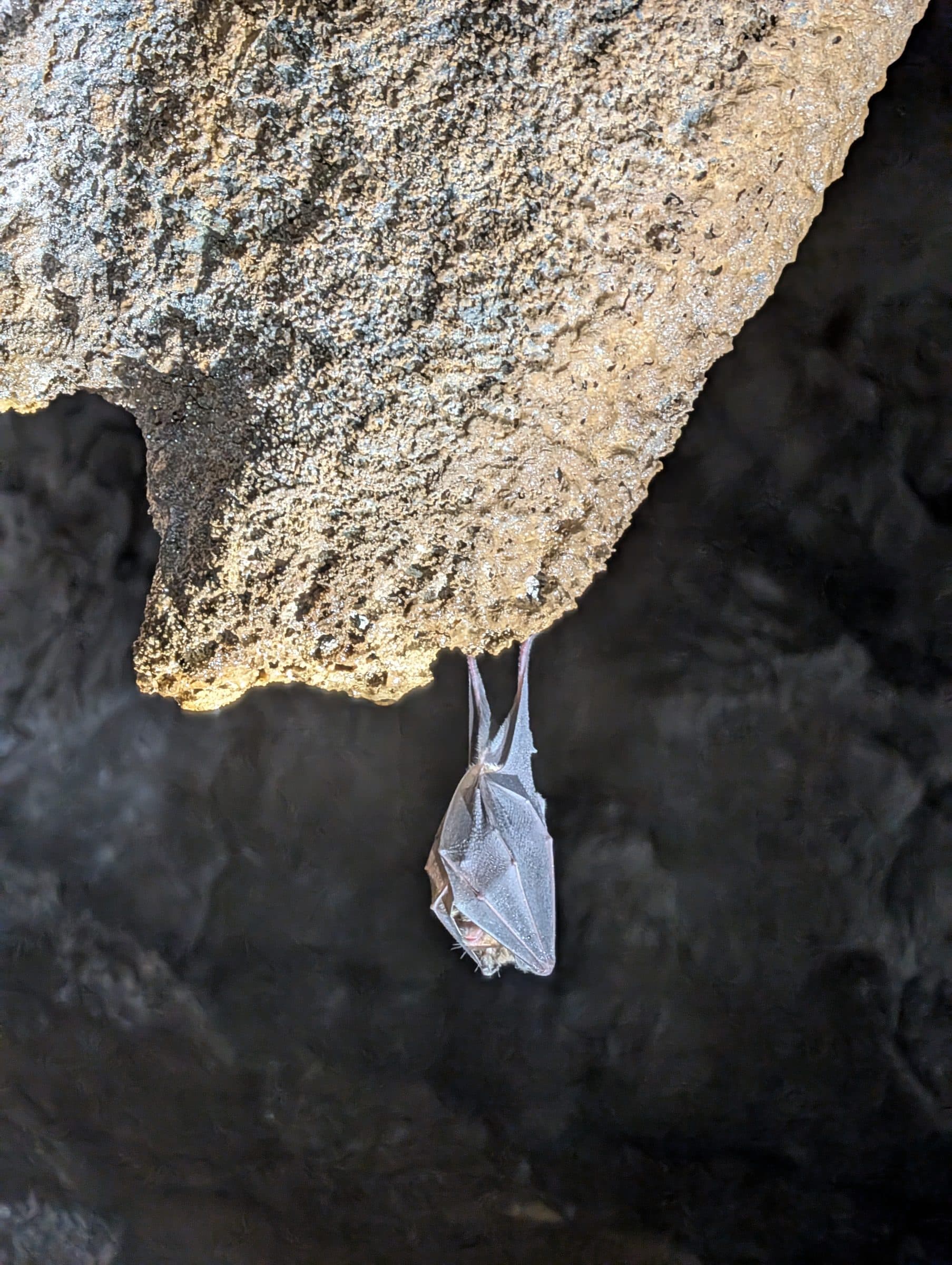 Caving in Georgia — photo 2