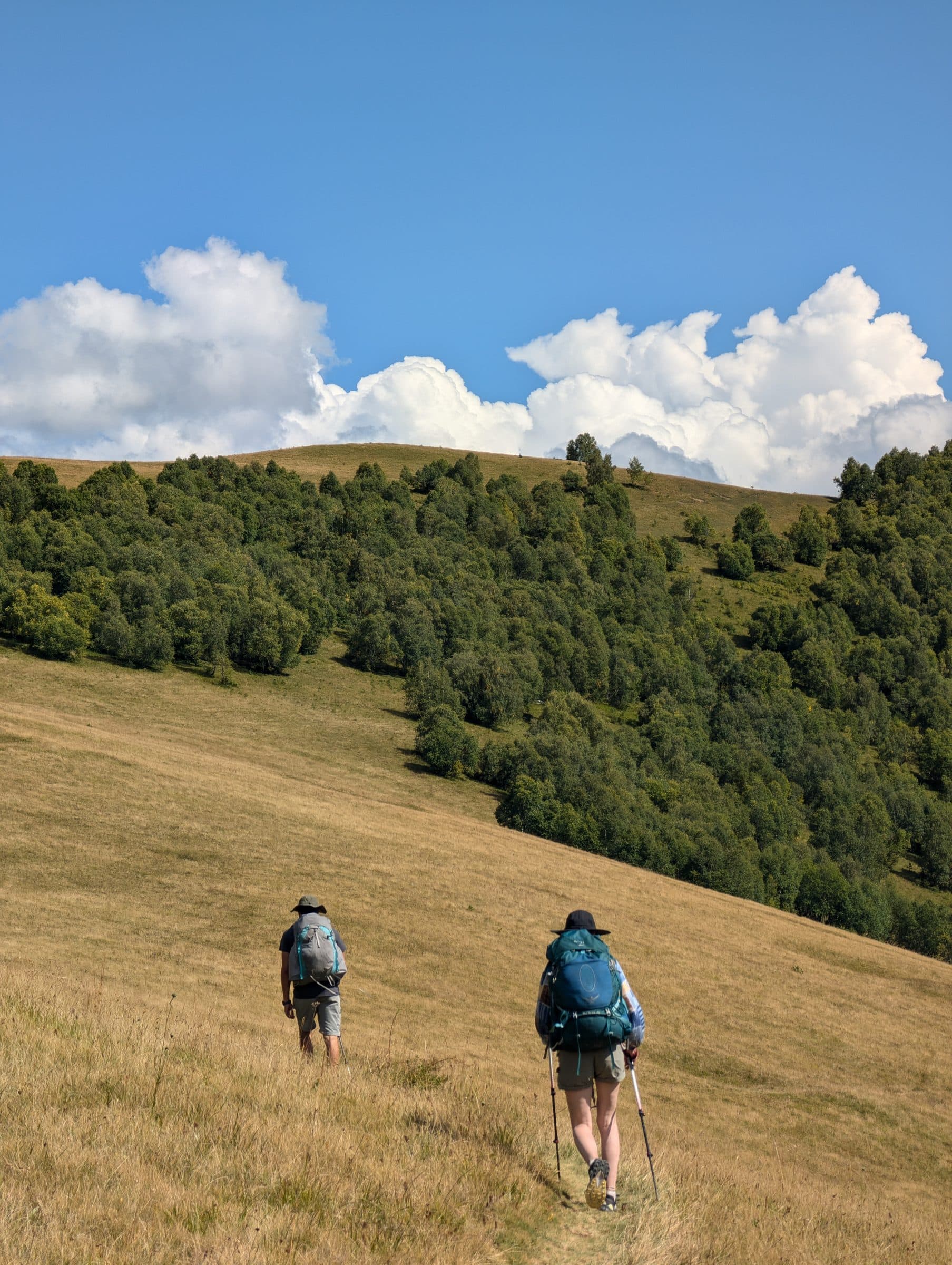 Trekking & Hiking in Georgia — photo 1