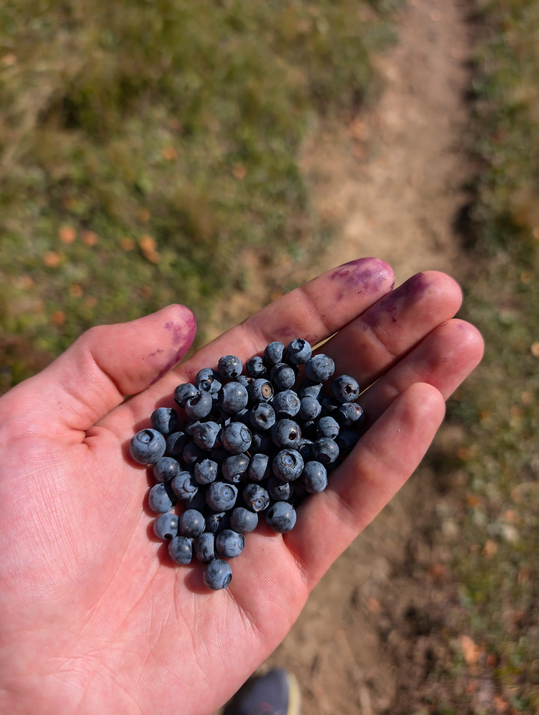 Trekking & Hiking in Georgia — photo 5