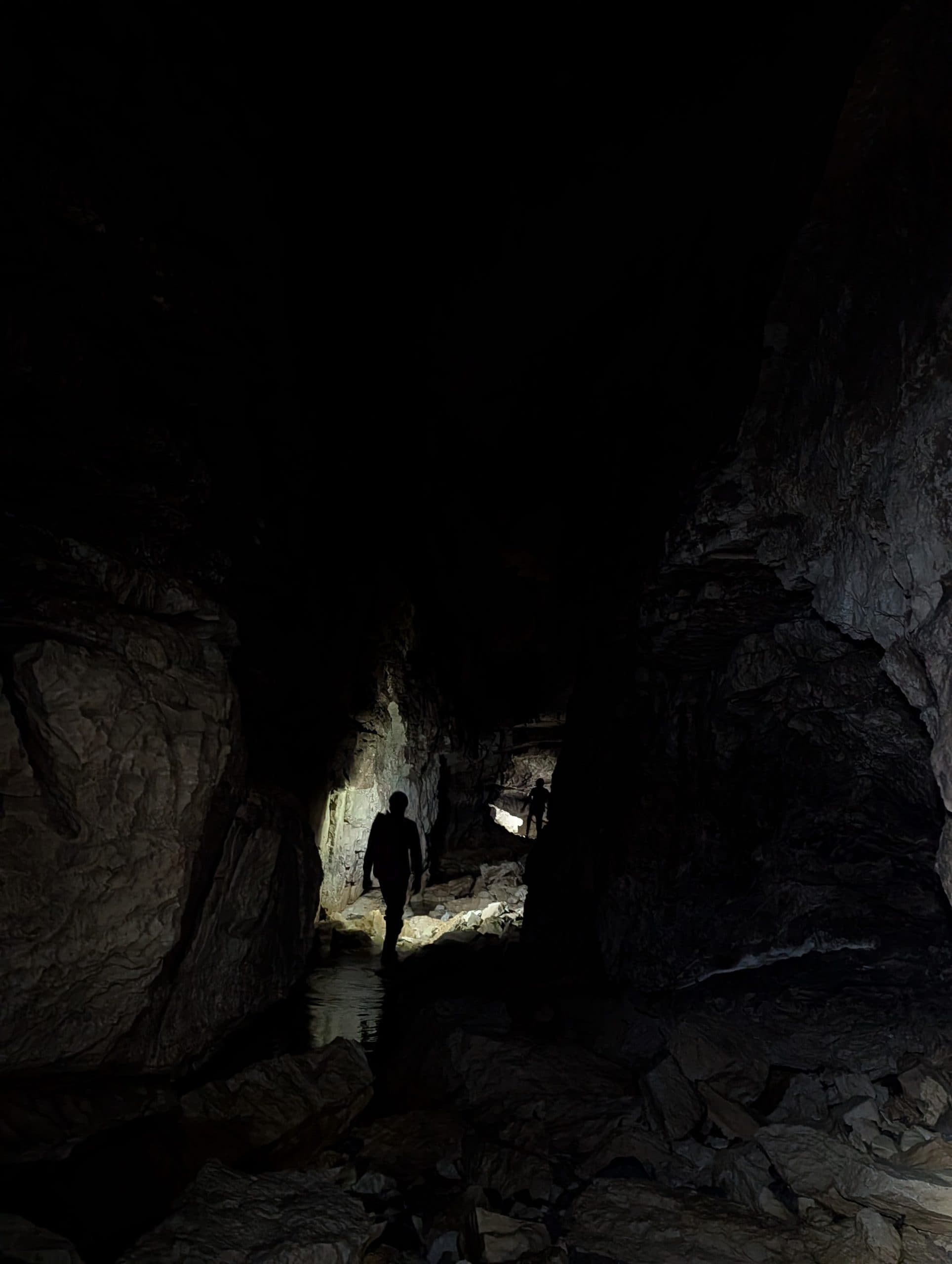 Headlamp silhouettes moving through the living dark of a chamber