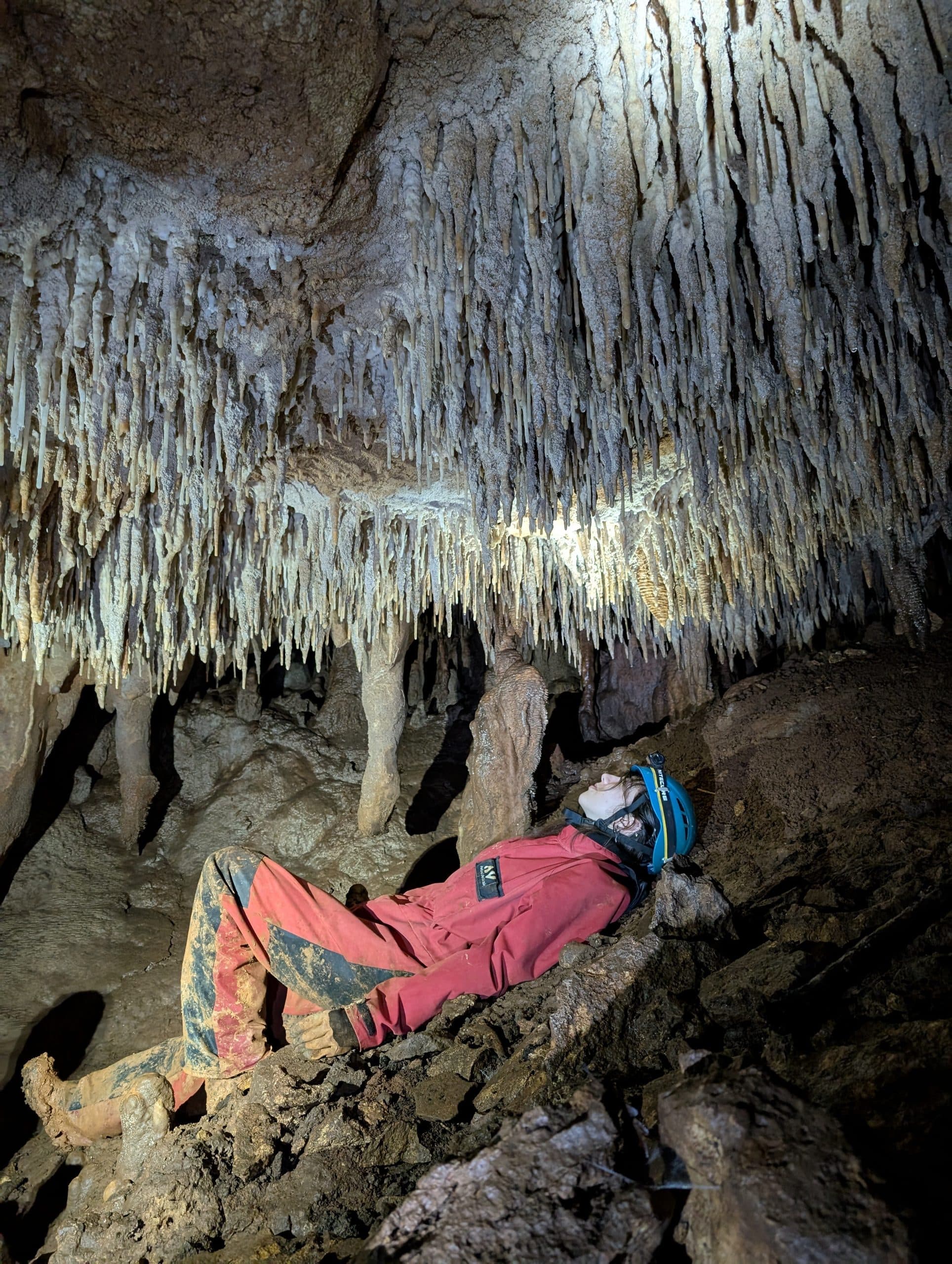 Gazing up at a dense ceiling of stalactites