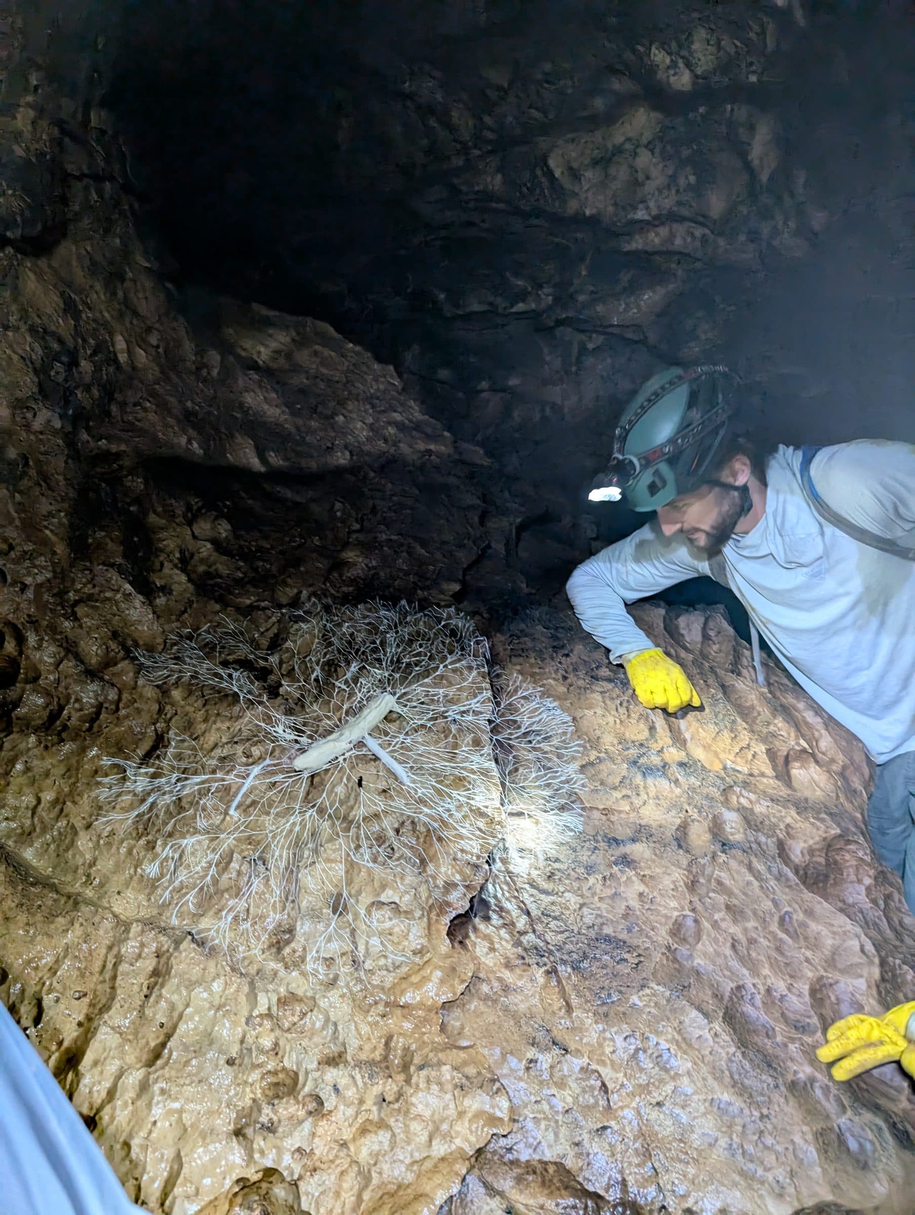 A caver in helmet and gloves inspecting the rock close-up in a narrow passage